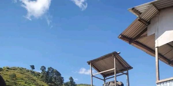 Les affrontements violents se poursuivent à Bunagana