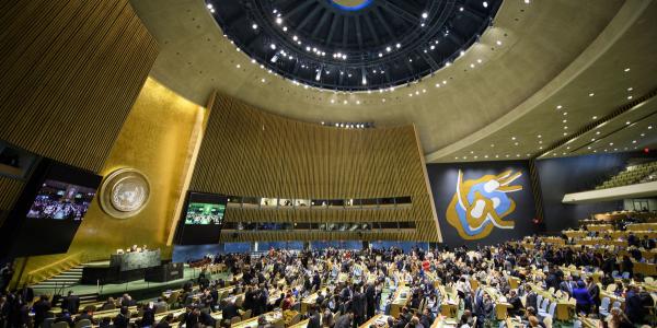 Assemblée Générale des Nations Unies
