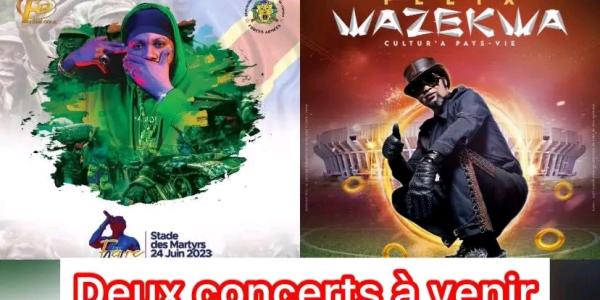 L'affiche des concerts de Ferre Gola et Félix Wazekwa