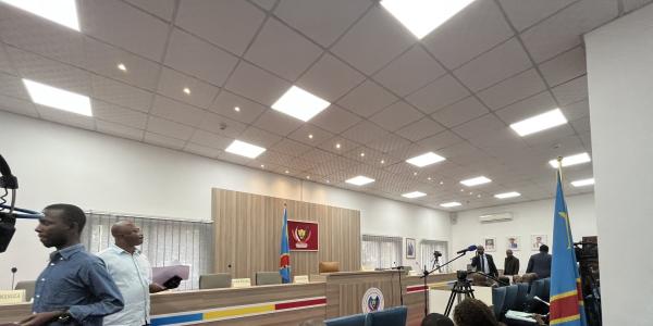 La cour constitutionnelle 