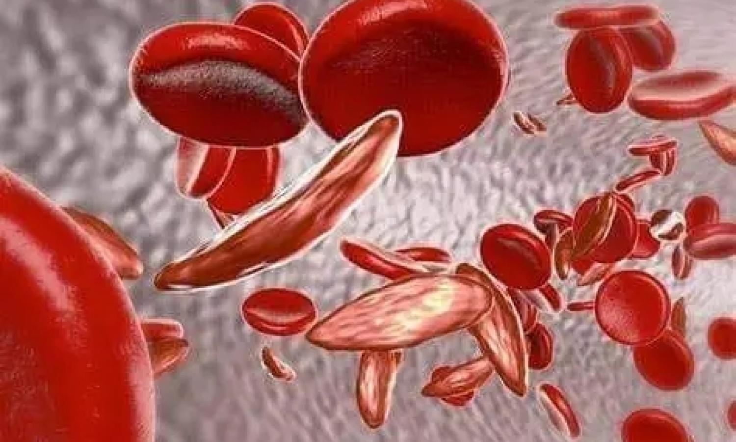 Les globules rouges 