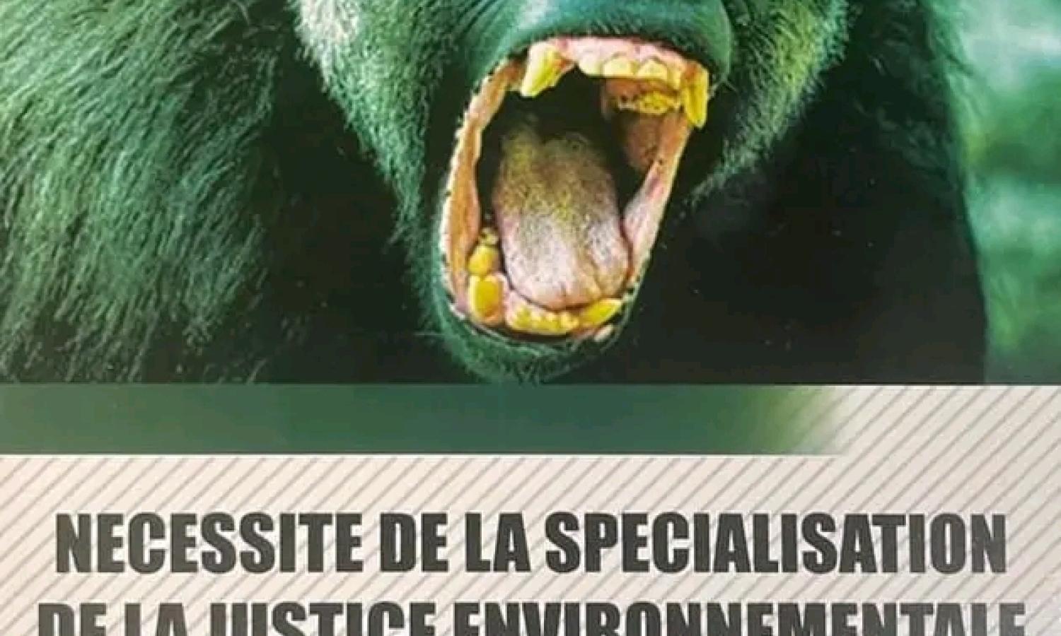 Photo d'illustration 